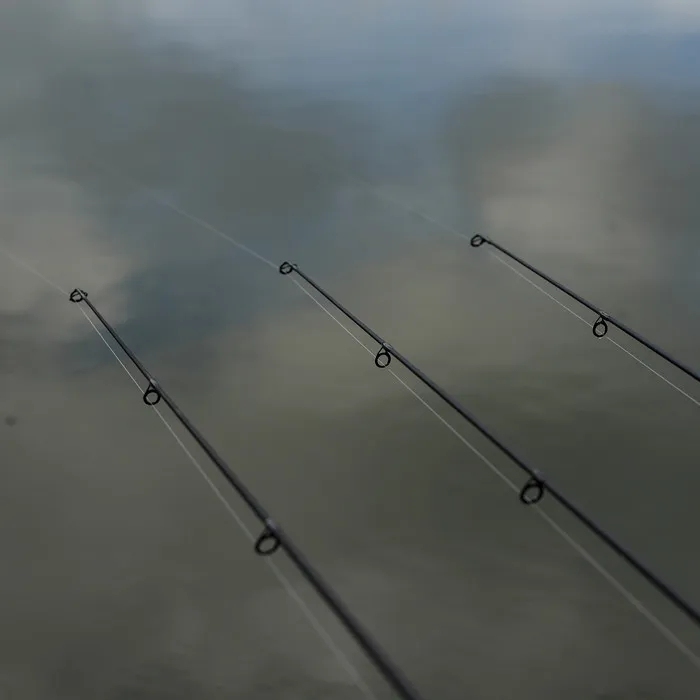 Carp Daiwa  Emcast Carp Fishing Rods « Wildfishinggear